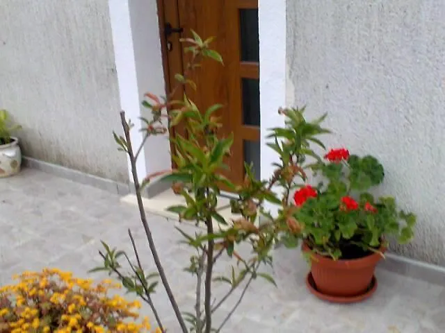 Vendégház Guesthouse Adriana Cottages Labin